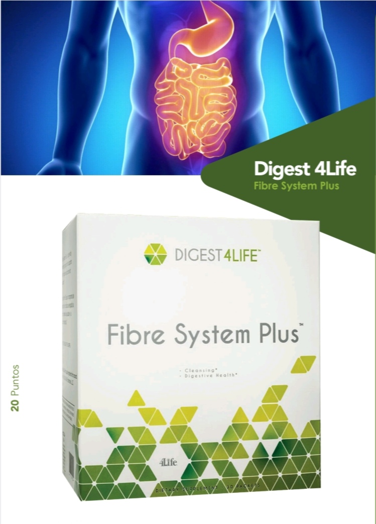 Fibre System Plus - Salud con Leticia